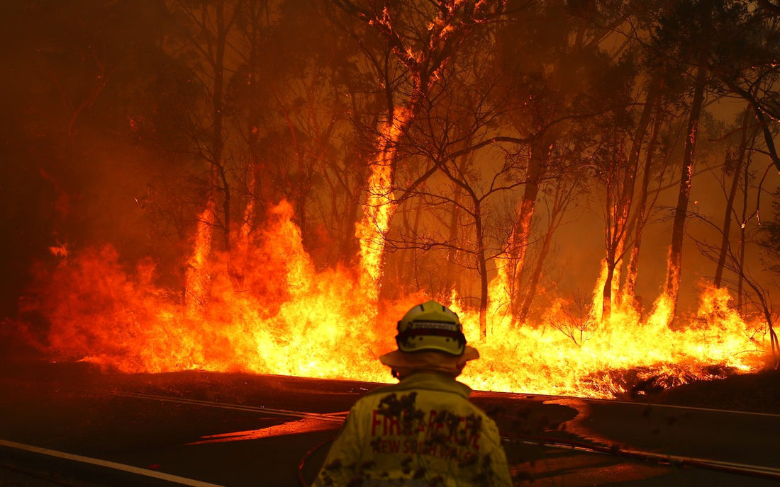 Supporting those affected by the devastating bush fires